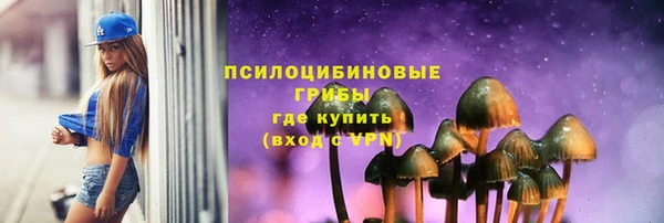 мяу мяу мука Надым