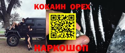 прущие грибы Волжск