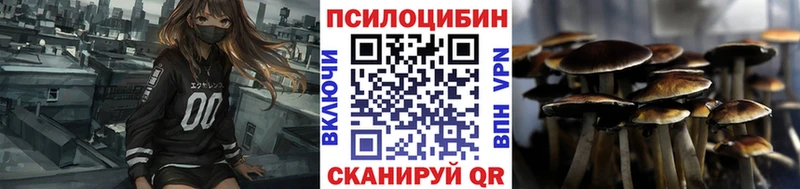 блэк спрут как зайти  Иркутск  Псилоцибиновые грибы Cubensis 